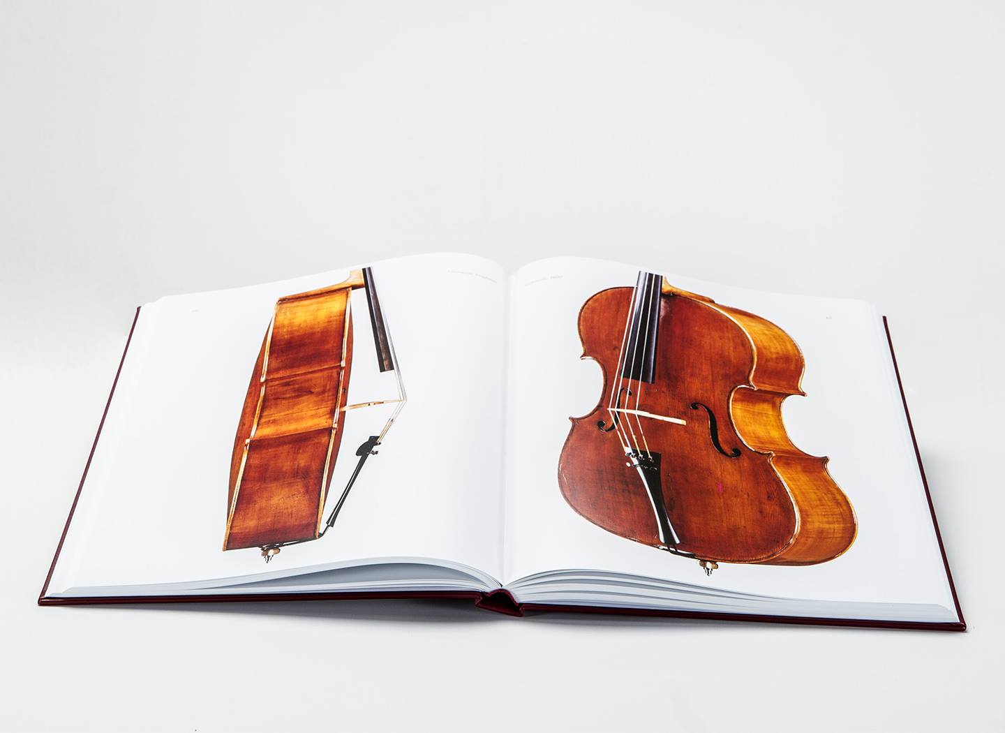 Italian & French Violin Makers - Library Edition